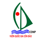 thiet_ke_web_logo_con_daopng.png