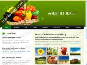 thiet_ke_website_dep_23650.jpg