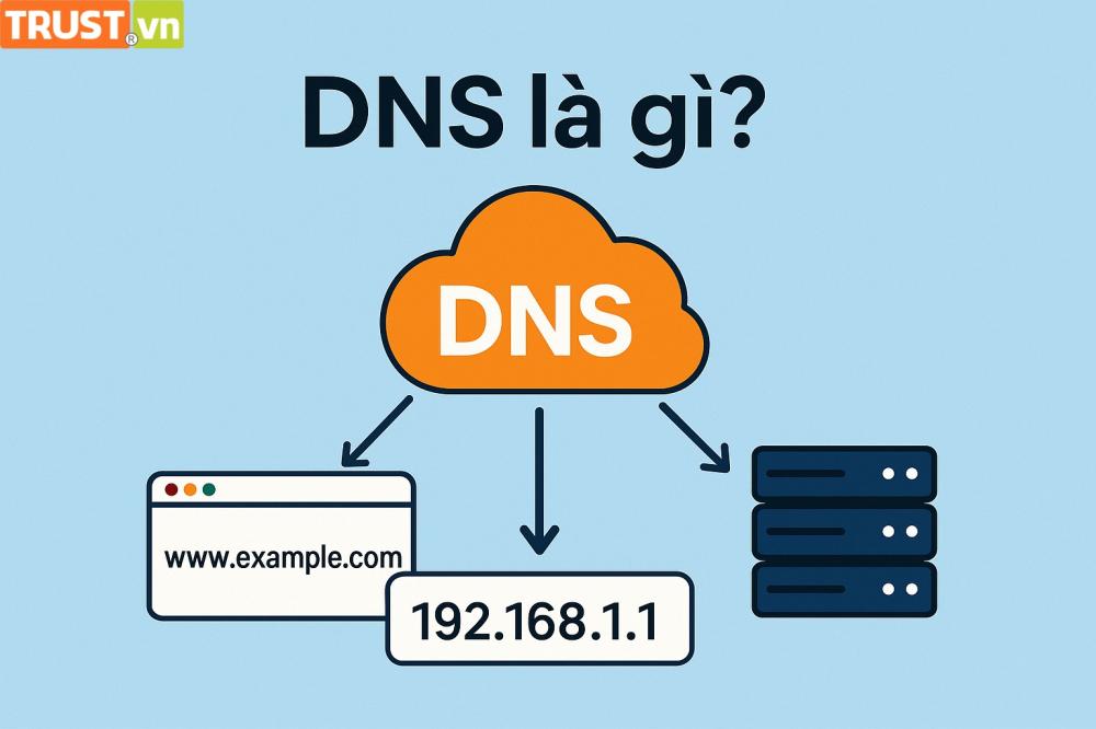 DNS là gì? Tìm hiểu khái niệm và vai trò quan trọng của DNS