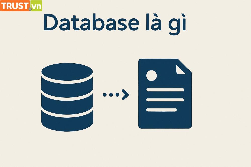 Cơ Sở Dữ Liệu (Database) Là Gì? Khái Niệm, Đặc Điểm và Ví Dụ Dễ Hiểu
