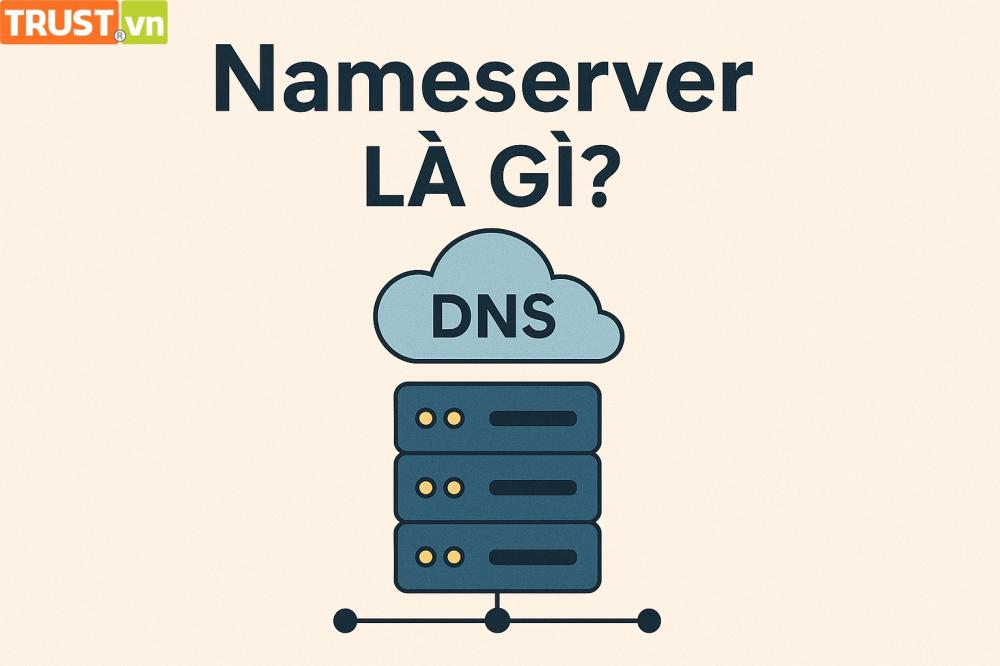 Nameserver là gì? Vai trò trong hệ thống DNS