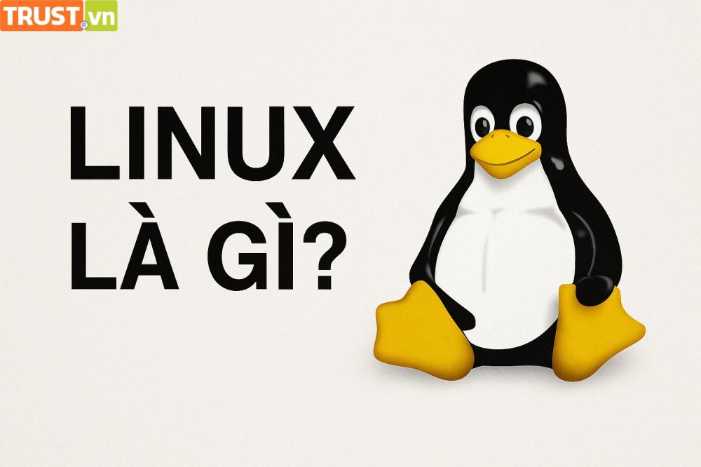 Linux là gì? Tổng quan hệ điều hành mã nguồn mở phổ biến nhất
