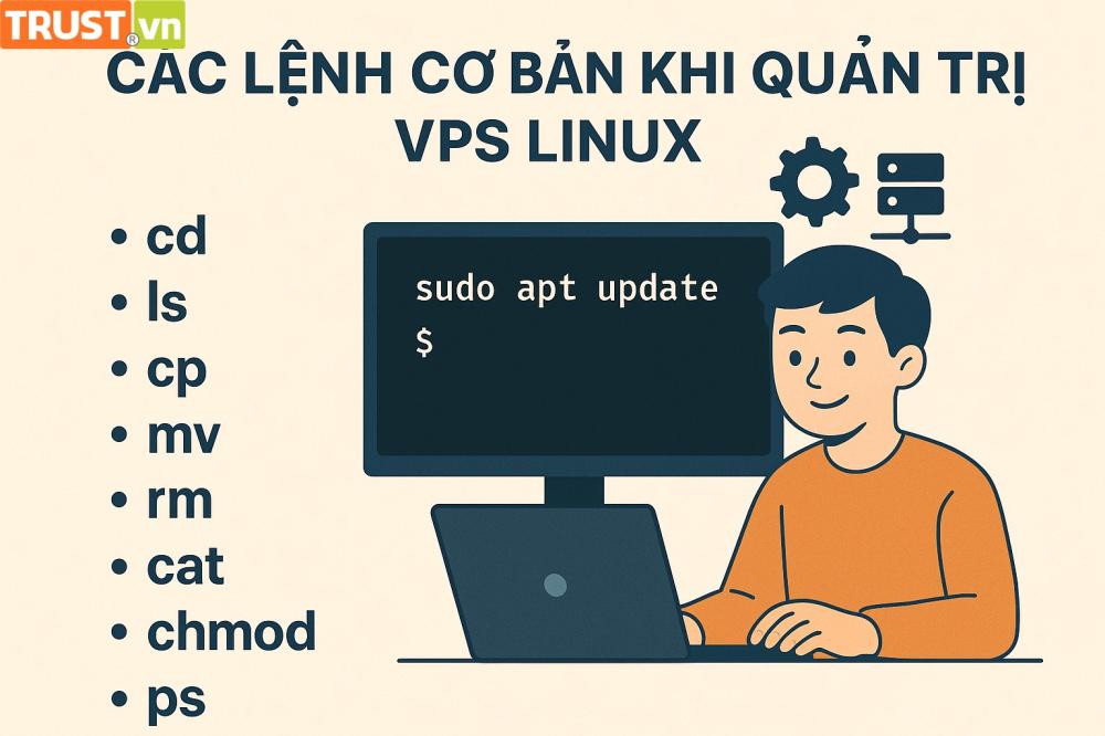 Các lệnh cơ bản khi quản trị VPS Linux?