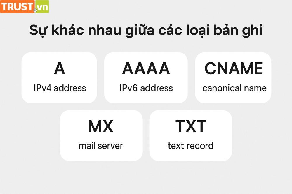 Sự khác nhau giữa các loại bản ghi: A, AAAA, CNAME, MX, TXT là gì?