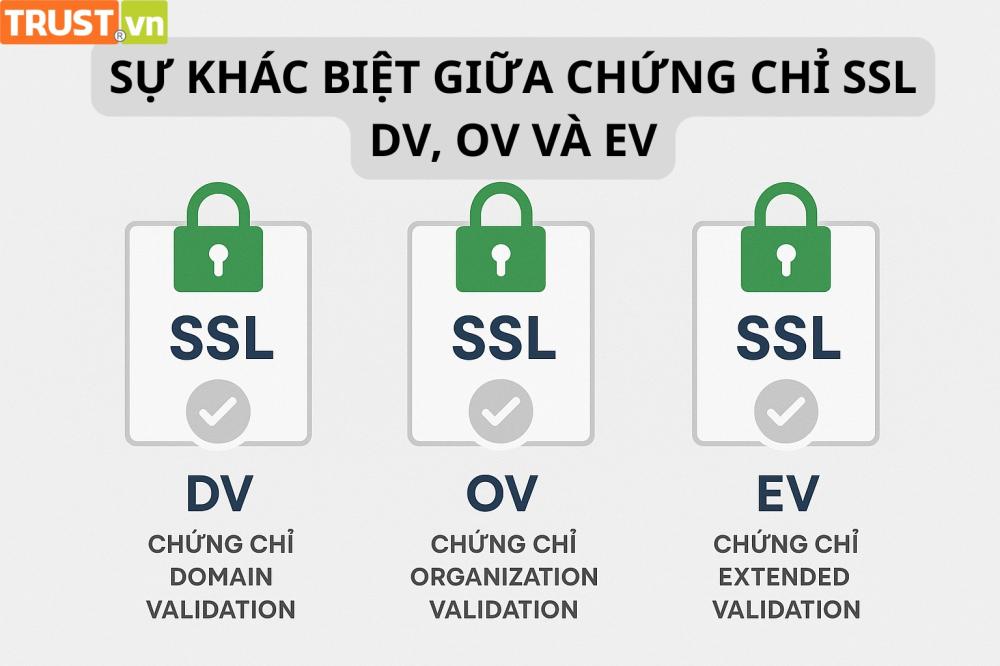 Sự khác biệt giữa chứng chỉ SSL DV, OV và EV là gì?