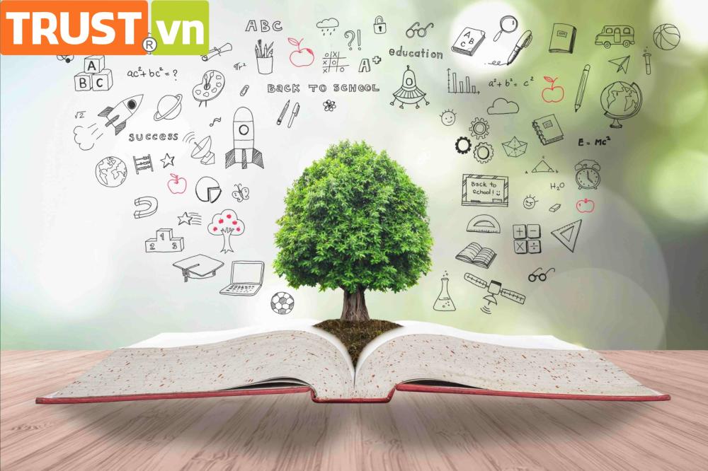 Tiêu chí khi thiết kế web cho lĩnh vực giáo dục