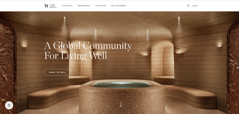 Mẫu website spa wellness hiện đại THE WELL