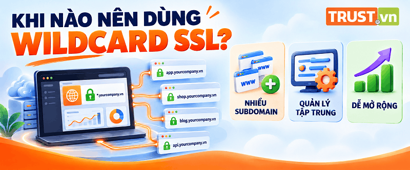 Khi nào doanh nghiệp nên sử dụng Wildcard SSL