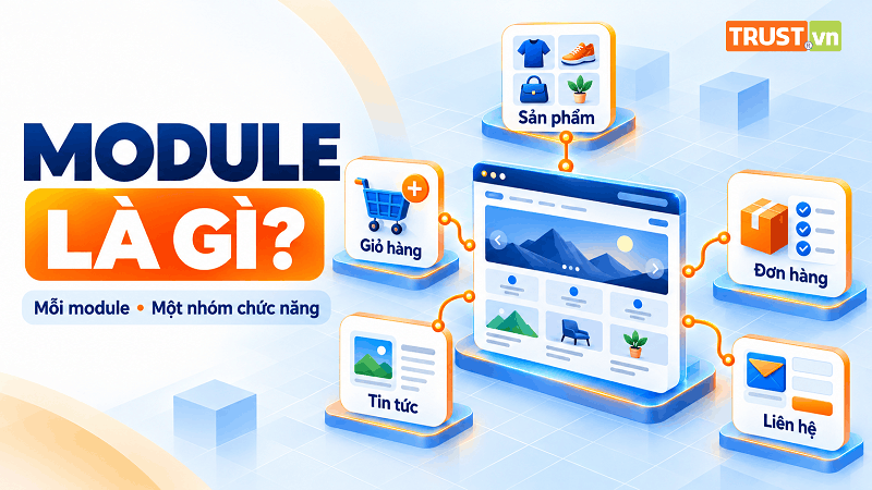 Module là gì? Ví dụ và cách chọn module phù hợp